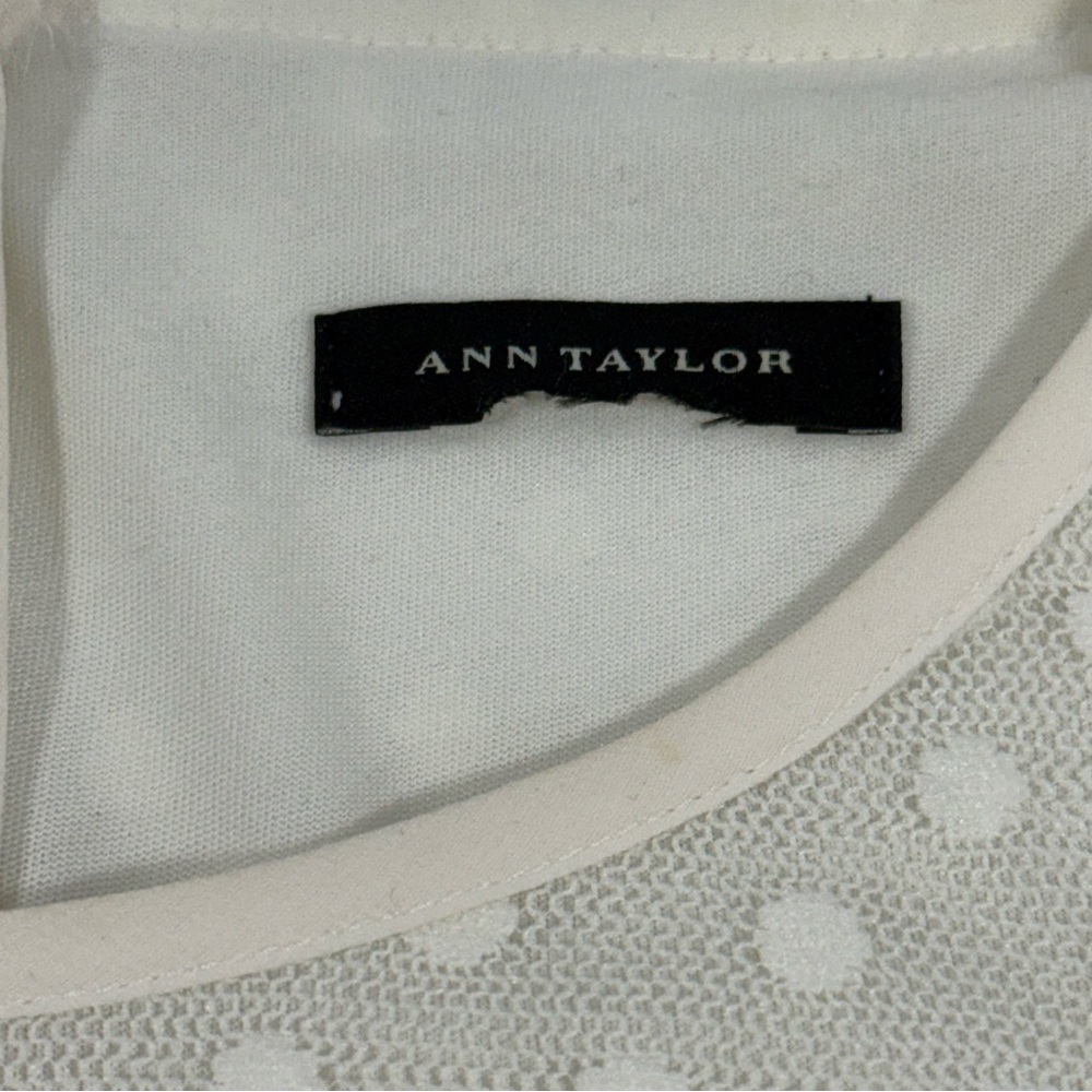 Sheer Polka Dot Swiss Dot Ann Taylor Ivory Mesh Blouse Size M Medium - Picture 7 of 8
